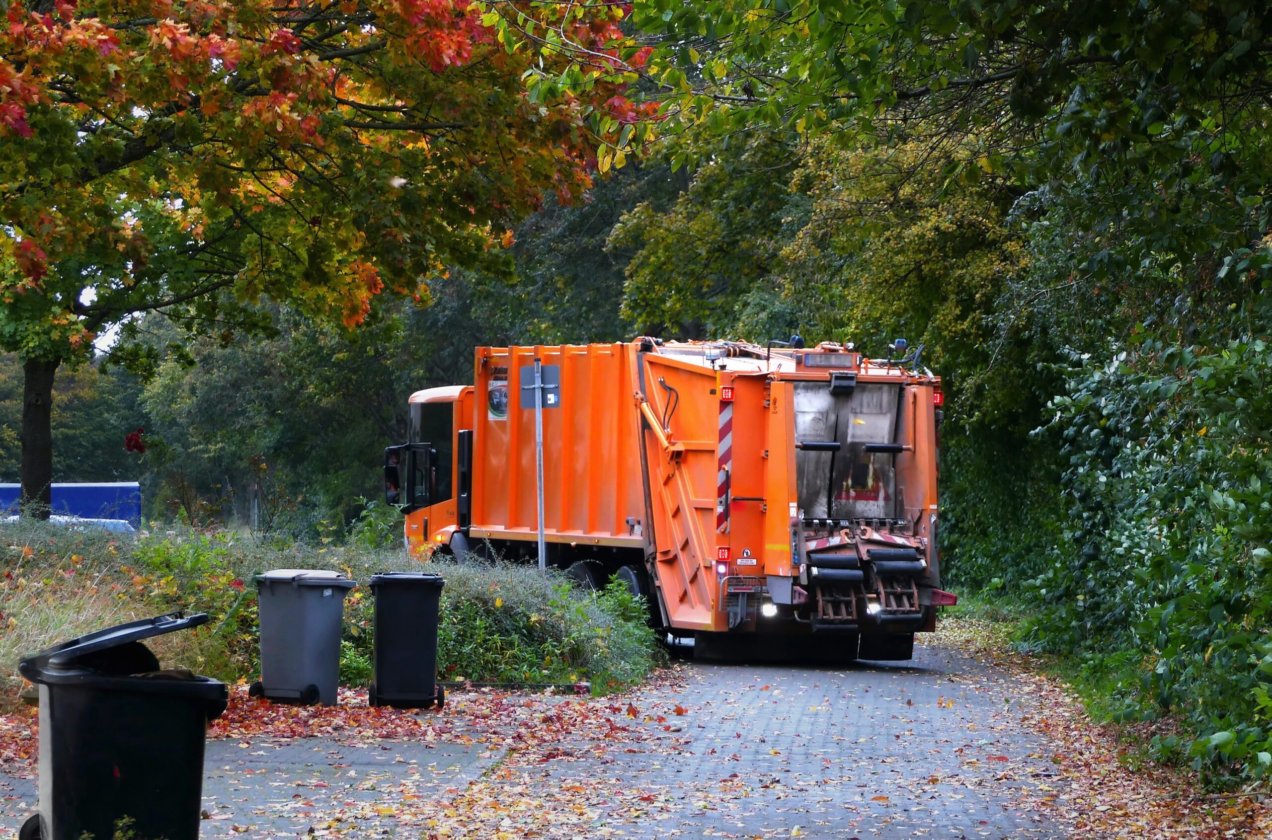 Zero waste in action: what municipalities are doing right