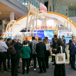 2025 Exhibition List